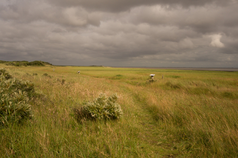 Juist - Sand Wind Meer